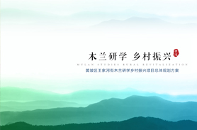 黄陂区王家河街乡村文旅项目